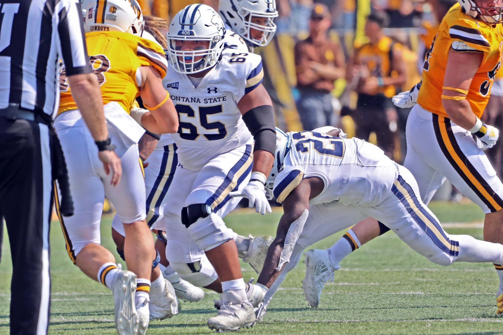 Montana State Bobcats football 3